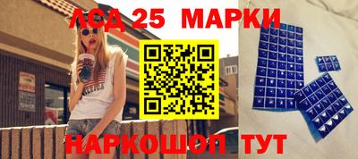 гидропоника Ставрополь