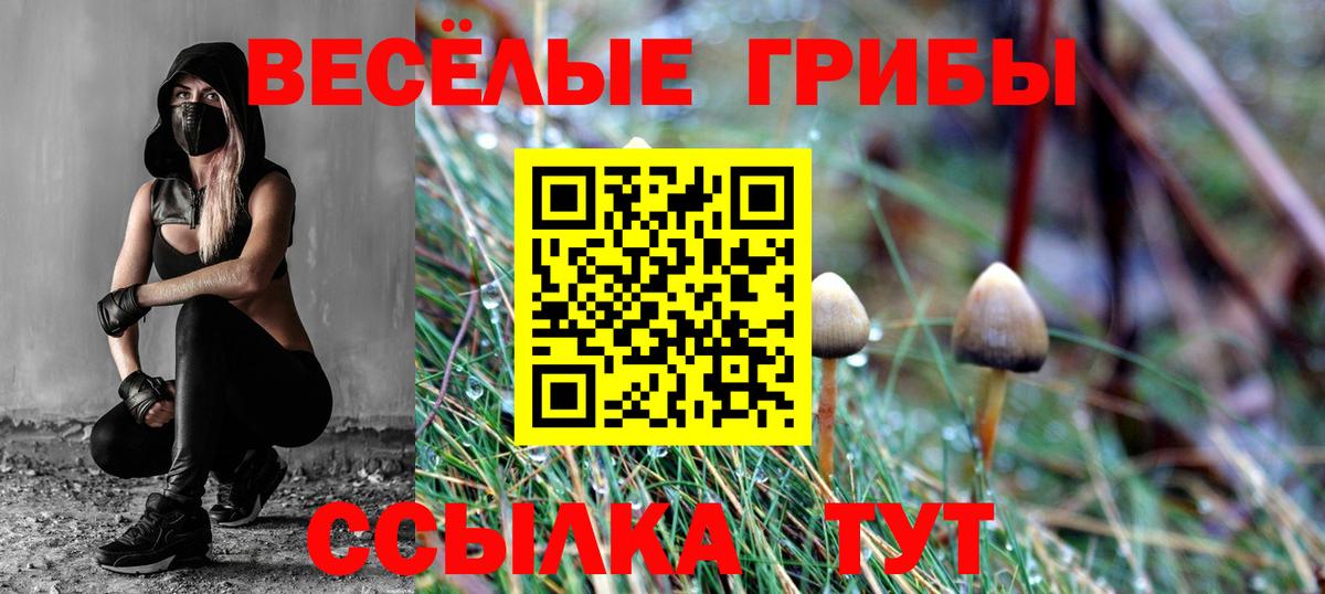 Галлюциногенные грибы GOLDEN TEACHER  Вход с VPN  Благодарный 
